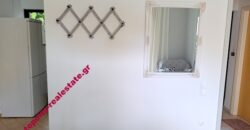 ΔΥΑΡΙ ΔΙΑΜΕΡΙΣΜΑ 66 ΤΜ