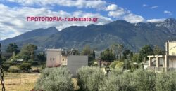 Ενοικιάζεται Διαμέρισμα – Σ.Σ. Λειανοκλαδίου Λαμίας