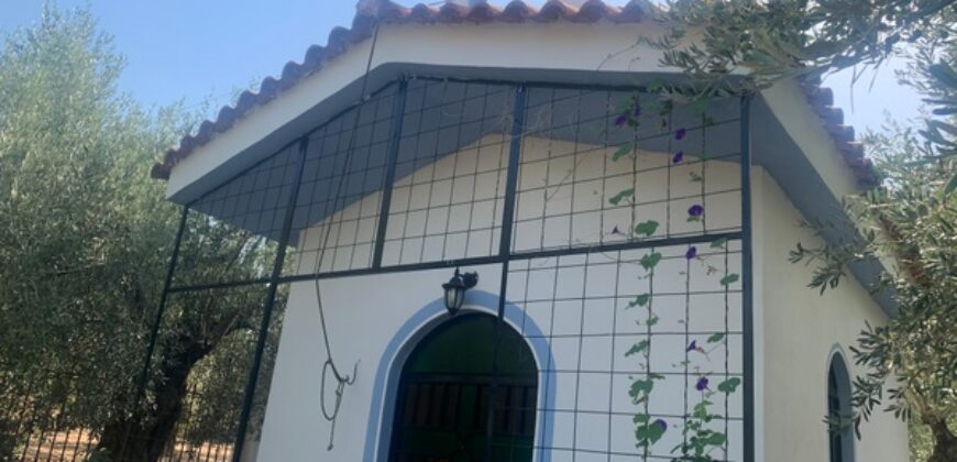 -ΦΘΙΩΤΙΔΑ-ΣΤΥΛΙΔΑ-ΠΡΟΣ ΠΩΛΗΣΗ ΜΟΝΟΚΑΤΟΙΚΙΑ