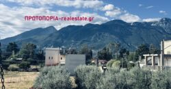Ενοικιάζεται Διαμέρισμα – Σ.Σ. Λειανοκλαδίου Λαμίας