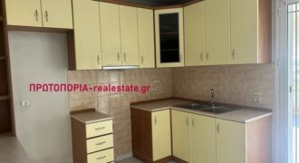 Λαμια-Ανω Ρεβενια -Ενοικιαζεται Ισογειο Διαμερισμα 110 τμ τ.2000.