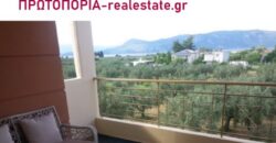 ΠΩΛΕΙΤΑΙ ΜΕΖΟΝΕΤΑ 120 τ.μ. – ΠΑΡΑΘΑΛΑΣΣΙΟΣ ΟΙΚΙΣΜΟΣ ΚΟΝΤΑ, ΑΓΙΟΣ ΚΩΝΣΤΑΝΤΙΝΟΣ ΦΘΙΩΤΙΔΑΣ