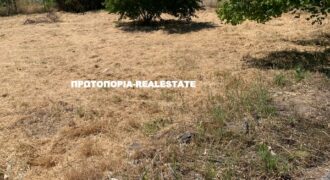 ΛΑΜΙΑ-ΠΩΛΕΙΤΑΙ-ΟΙΚΟΠΕΔΟ