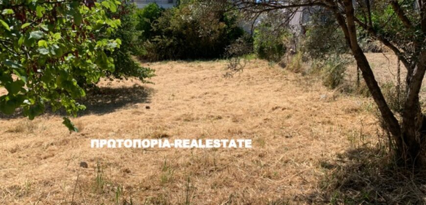 ΛΑΜΙΑ-ΠΩΛΕΙΤΑΙ-ΟΙΚΟΠΕΔΟ