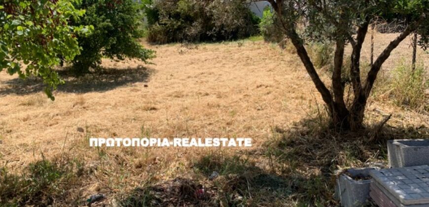 ΛΑΜΙΑ-ΠΩΛΕΙΤΑΙ-ΟΙΚΟΠΕΔΟ