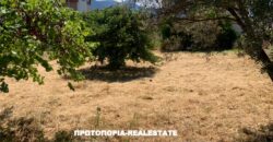 ΛΑΜΙΑ-ΠΩΛΕΙΤΑΙ-ΟΙΚΟΠΕΔΟ