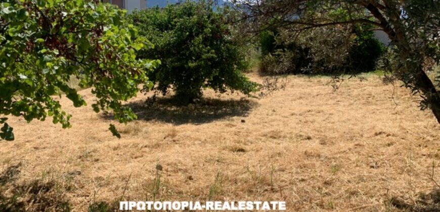 ΛΑΜΙΑ-ΠΩΛΕΙΤΑΙ-ΟΙΚΟΠΕΔΟ