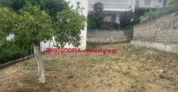 Λαμία – Κέντρο | Πωλείται με Αποκλειστικότητα Οικόπεδο 196 τ.μ.