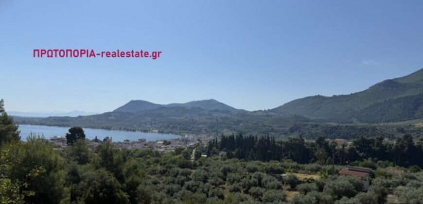 ΠΩΛΕΙΤΑΙ ΕΞΑΙΡΕΤΙΚΗ ΜΟΝΟΚΑΤΟΙΚΙΑ 280 τ.μ. ΜΕ ΠΑΝΟΡΑΜΙΚΗ ΘΕΑ ΣΤΟΝ ΕΥΒΟΪΚΟ ΚΟΛΠΟ ΣΤΟΝ ΑΓΙΟ ΚΩΝΣΤΑΝΤΙΝΟ ΦΘΙΩΤΙΔΑΣ
