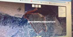 ΚΑΜΜΕΝΑ ΒΟΥΡΛΑ-ΡΕΓΚΙΝΙ-ΠΩΛΗΣΗ ΕΛΑΙΟΠΕΡΙΒΟΛΟΥ