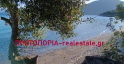 Πωλείται πολυτελής μεζονέτα 120 τ.μ. στον Άγιο Δημήτριο Πτελεού, Δήμος Αλμυρού Μαγνησίας