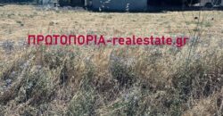 Με Αποκλειστικότητα – Πωλείται Οικόπεδο 503 τ.μ. στα Γαλανέικα Λαμίας