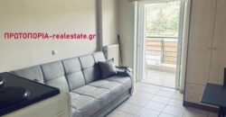Λαμία – Παγκράτι ενοικιάζεται πλήρως επιπλωμένο στούντιο 1ου ορόφου, επιφάνειας 20 τ.μ., κατασκευής 2008, σε εξαιρετική τοποθεσία με ανοιχτωσιά και όμορφη θέα, καθώς βλέπει σε πάρκο.