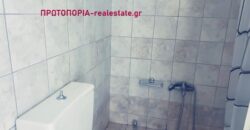 Λαμία – Παγκράτι ενοικιάζεται πλήρως επιπλωμένο στούντιο 1ου ορόφου, επιφάνειας 20 τ.μ., κατασκευής 2008, σε εξαιρετική τοποθεσία με ανοιχτωσιά και όμορφη θέα, καθώς βλέπει σε πάρκο.