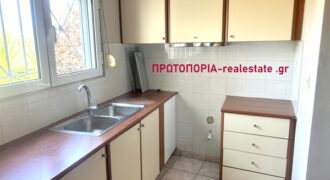 Λαμια-Πωλείται Δυάρι 45 τ.μ. στη περιοχη Νέα Άμπλιανη