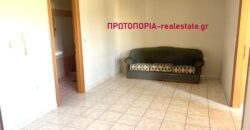 Λαμια-Πωλείται Δυάρι 45 τ.μ. στη περιοχη Νέα Άμπλιανη