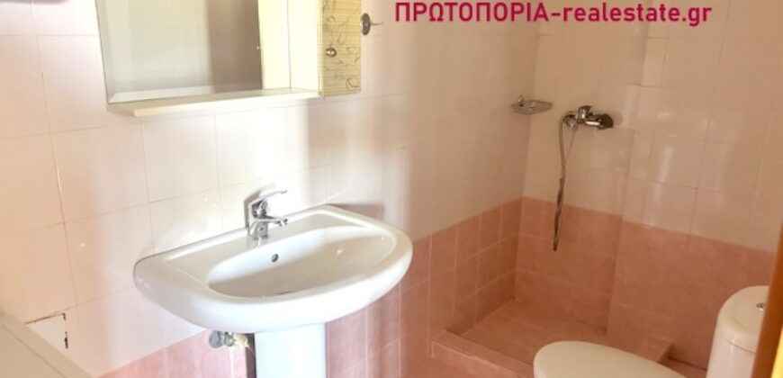 Λαμια-Πωλείται Δυάρι 45 τ.μ. στη περιοχη Νέα Άμπλιανη