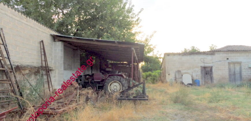 ΟΙΚΟΠΕΔΟ ΜΕ ΜΟΝΟΚΑΤΟΙΚΙΑ ΚΑΙ ΑΠΟΘΗΚΗ