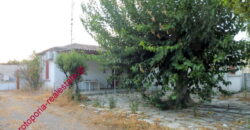 ΟΙΚΟΠΕΔΟ ΜΕ ΜΟΝΟΚΑΤΟΙΚΙΑ ΚΑΙ ΑΠΟΘΗΚΗ