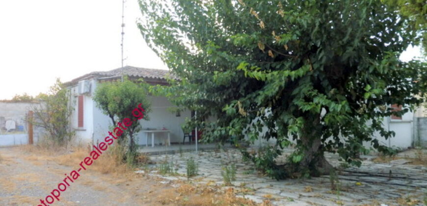 ΟΙΚΟΠΕΔΟ ΜΕ ΜΟΝΟΚΑΤΟΙΚΙΑ ΚΑΙ ΑΠΟΘΗΚΗ