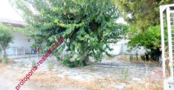 ΟΙΚΟΠΕΔΟ ΜΕ ΜΟΝΟΚΑΤΟΙΚΙΑ ΚΑΙ ΑΠΟΘΗΚΗ