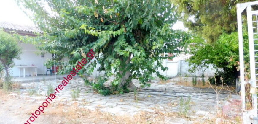 ΟΙΚΟΠΕΔΟ ΜΕ ΜΟΝΟΚΑΤΟΙΚΙΑ ΚΑΙ ΑΠΟΘΗΚΗ