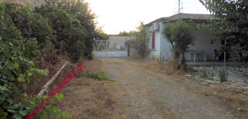 ΟΙΚΟΠΕΔΟ ΜΕ ΜΟΝΟΚΑΤΟΙΚΙΑ ΚΑΙ ΑΠΟΘΗΚΗ